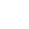 Branches icon